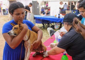 Jornada Masiva de Vacunación Antirrábica se despliega en el estado Zulia