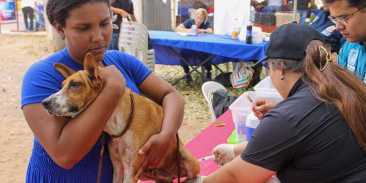 Jornada Masiva de Vacunación Antirrábica se despliega en el estado Zulia