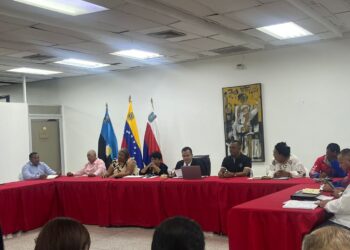 Cámara Municipal aprueba en primera discusión la reforma total de la creación del IMA