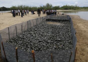 Avanza plan de conservación con la liberación de siete mil tortuguillos en Bolívar