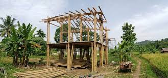 Analizan normativas y potencial del bambú en la infraestructura moderna venezolana