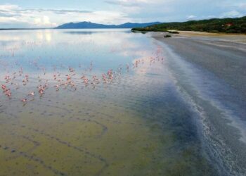 La Laguna de Unare se proyecta al mundo con su nominación en los World Travel Awards