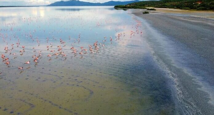 La Laguna de Unare se proyecta al mundo con su nominación en los World Travel Awards