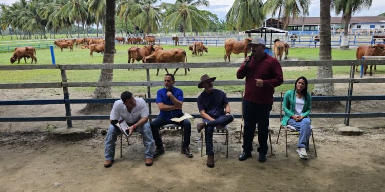 Plan Nacional de Vacunación antiaftosa se despliega en el municipio Colón