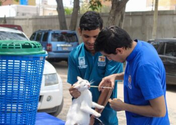 Alcaldía de Maracaibo fortalece programa de adopción y atención animal