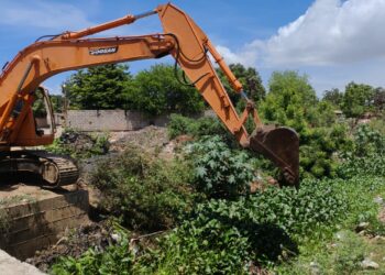 IMA realiza limpieza permanente en las Cañadas Morillo, Los Caribes y Fénix