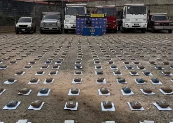 ¡Ocurre en Mérida! Cuerpos de seguridad incautan 470 kilogramos de drogas