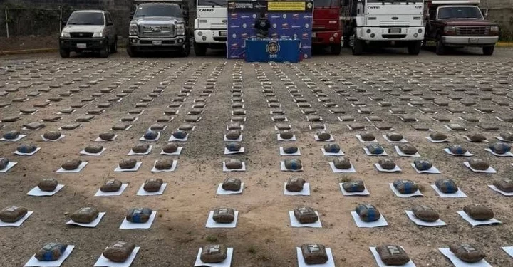 ¡Ocurre en Mérida! Cuerpos de seguridad incautan 470 kilogramos de drogas