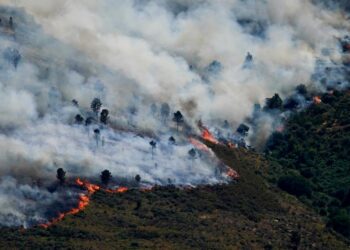 Incendios forestales provocaron la evacuación de miles de personas en Francia, Italia y España (+Fotos y Video)