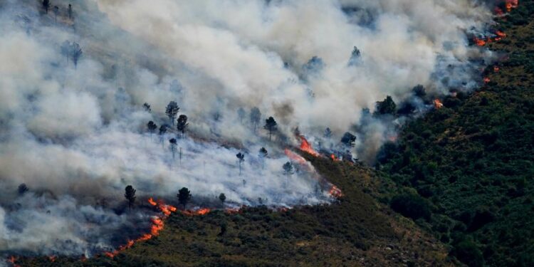 Incendios forestales provocaron la evacuación de miles de personas en Francia, Italia y España (+Fotos y Video)