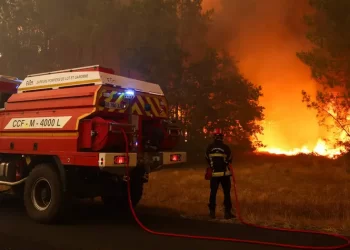 Francia enfrenta una ola de incendios récord: la superficie devastada alcanza cifras históricas