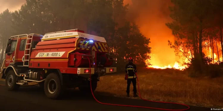 Francia enfrenta una ola de incendios récord: la superficie devastada alcanza cifras históricas