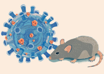 Ministerio de Salud activa protocolos epidemiológicos tras muertes por Hantavirus en Anzoátegui