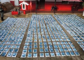 Golpe al narcotráfico: Incautan más de 1.100 panelas de droga entre Zulia y Falcón