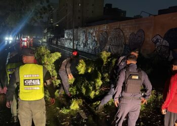 Alcalde Gian Carlo Di Martino reporta saldo positivo en la ciudad tras las fuertes lluvias en Maracaibo (+Foto y Video)