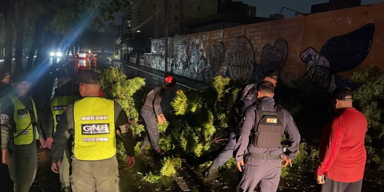 Alcalde Gian Carlo Di Martino reporta saldo positivo en la ciudad tras las fuertes lluvias en Maracaibo (+Foto y Video)