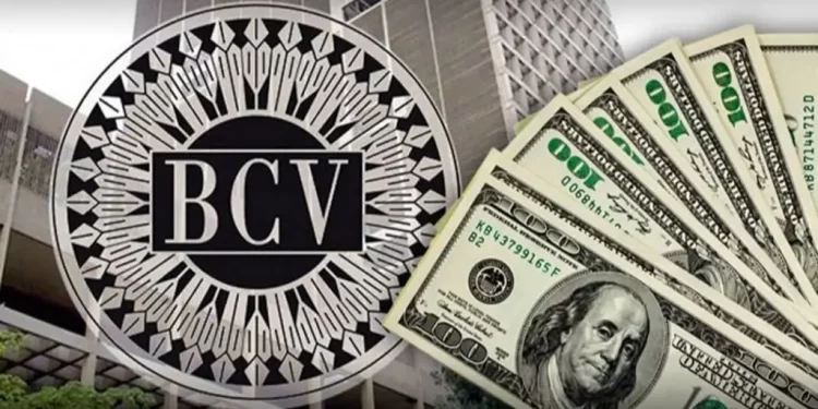 Dólar y euro BCV para este 11 de agosto: así amanecen las divisas oficiales