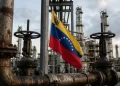 Ministra de Hidrocarburos ofrece a EEUU diversas inversiones en petróleo y gas: esto se sabe