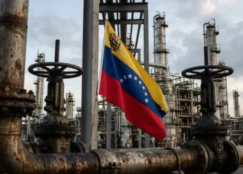 Ministra de Hidrocarburos ofrece a EEUU diversas inversiones en petróleo y gas: esto se sabe