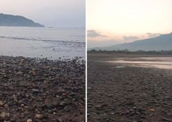 VIDEO inquietante de la costa indonesia tras terremoto de magnitud 7,7