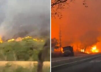 Sorprendentes incendios arrasan más de 20.000 hectáreas en Colombia (VIDEOS)