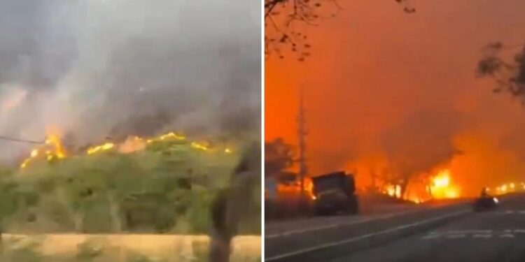 Sorprendentes incendios arrasan más de 20.000 hectáreas en Colombia (VIDEOS)