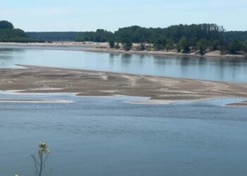 Sequía en el río Danubio pone en riesgo sectores económicos de Europa
