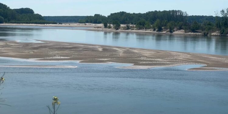 Sequía en el río Danubio pone en riesgo sectores económicos de Europa