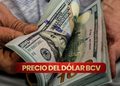 BCV fija nuevas tasas para el dólar y el euro este martes #24Ago