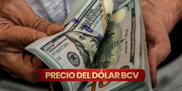 BCV fija nuevas tasas para el dólar y el euro este martes #24Ago
