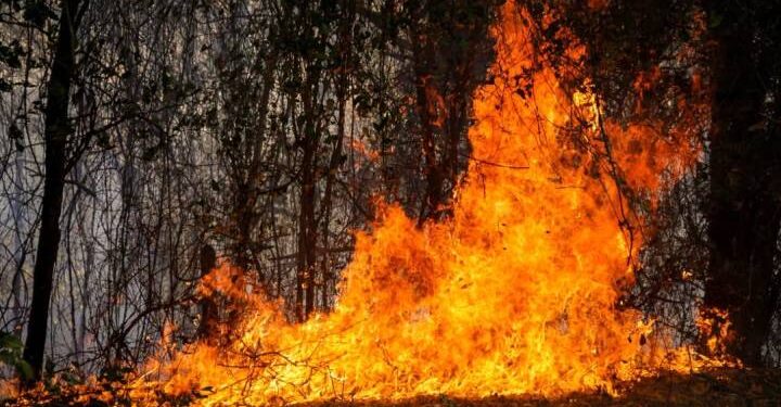 Colombia combate 39 incendios forestales mientras Tolima enfrenta la peor devastación