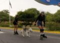 Ciclovía de Maracaibo fomenta la práctica del patinaje recreativo y competitivo