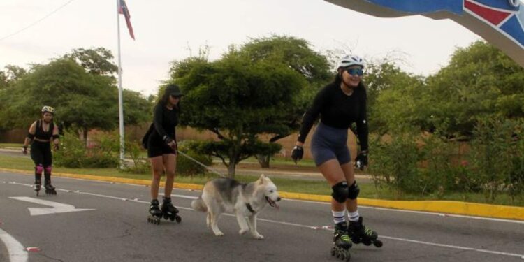 Ciclovía de Maracaibo fomenta la práctica del patinaje recreativo y competitivo