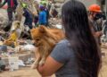 Cali tardaría tres años en recuperarse por completo tras el terremoto