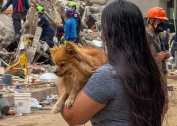 Cali tardaría tres años en recuperarse por completo tras el terremoto