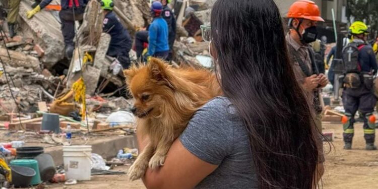 Cali tardaría tres años en recuperarse por completo tras el terremoto