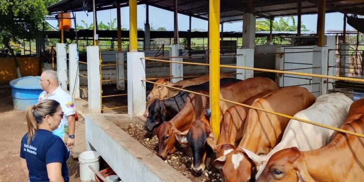 Alcaldía de Maracaibo te invita a la primera ruta “Sembrando Ecoturismo”