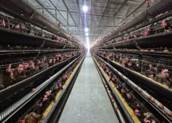 Gobernación del Zulia impulsa la producción agroindustrial en alianza con el sector privado