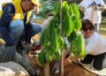 Avanza en el Concejo de Maracaibo ordenanza verde contra el cambio climático: detalles
