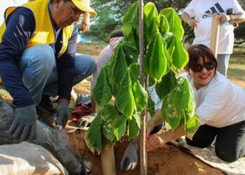 Avanza en el Concejo de Maracaibo ordenanza verde contra el cambio climático: detalles