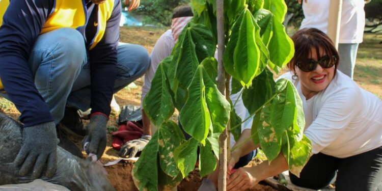 Avanza en el Concejo de Maracaibo ordenanza verde contra el cambio climático: detalles