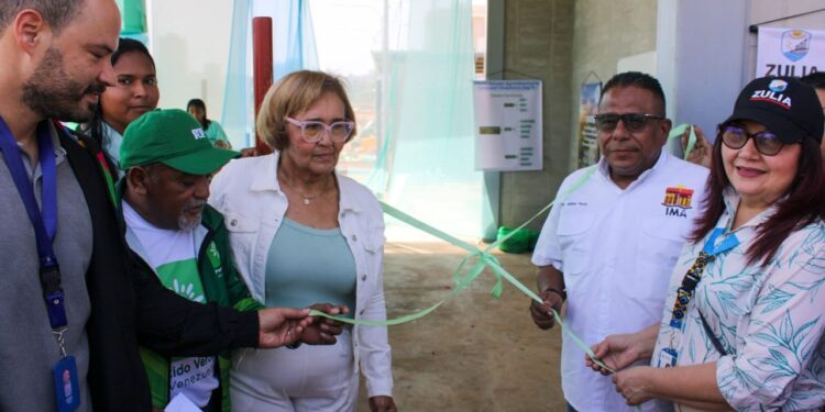 ¡Vivero escuela en el Parque Monumental Ana María Campos! Alcaldía de Maracaibo participa en el Comité de Reforestación para reverdecer la ciudad.