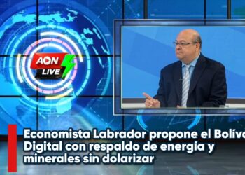 Economista Labrador propone el Bolívar Digital con respaldo de energía y minerales sin dolarizar