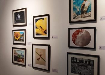 Secretaría de Cultura inaugura las muestras «Mi obra fecunda en el lienzo» y “8 horas después”