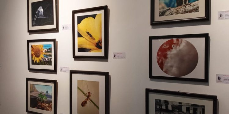 Secretaría de Cultura inaugura las muestras «Mi obra fecunda en el lienzo» y “8 horas después”