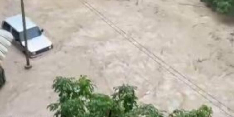 Las fuertes lluvias registradas el fin de semana dejan más de 150 casas afectadas en Los Teques [Video]