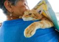 Concejo Municipal y el Impa actualizan ordenanza de protección animal