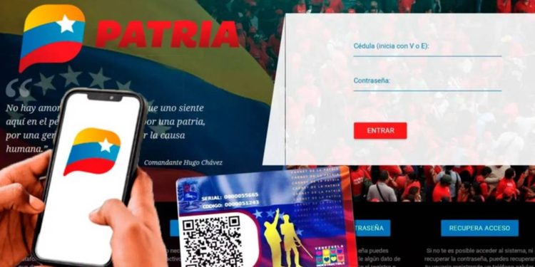 Bonos de la Patria del 7 al 12 de septiembre: conozca los montos y beneficiarios