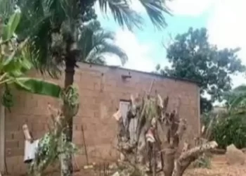 Asesinó a un septuagenario con una cabilla y lo enterró en su patio: Cicpc revela el motivo del brutal ataque
