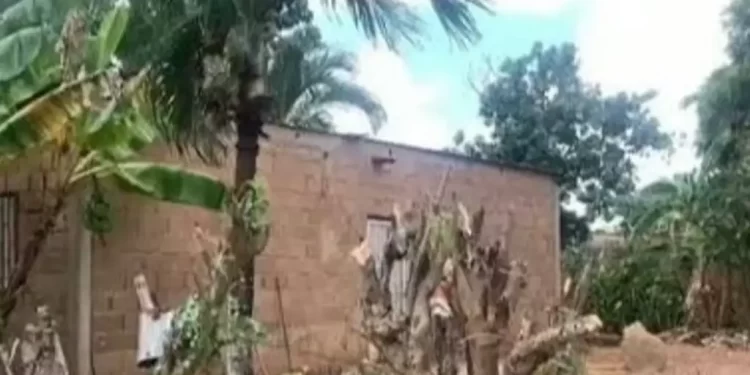 Asesinó a un septuagenario con una cabilla y lo enterró en su patio: Cicpc revela el motivo del brutal ataque